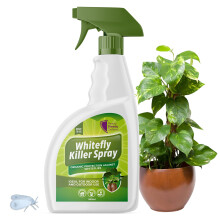 Whitefly Killer Spray 500ml - Effective Plant Bug Spray & Insecticide Soap for Houseplants, Outdoor Plants, & Garden Use | Targets Whiteflies & Flying