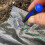 Weed Control Membrane Pegs Buffer Washer, 6"/150mm, Blue (SET OF 100) 12
