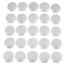 25pcs Large Scallop Shells for Crafts 4inch - 5inch White Scallop Shells Crafts DIY Painting Beach Party Decoration