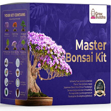 Master Bonsai Kit - Bonsai Plant Growing Kit - Professional Growing and Styling Bonsai Set - Japanese Bonsai - Become Bonsai Master - Ideal Bonsai