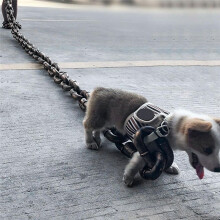 Dog Traction Rope Simulation Thick Chain  Iron Chain Funny Prank Dog Walking Pet Supplies Rope Ancient Silver