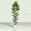 Homcom HOMCOM 180cm Artificial Fiddle Leaf Fig Tree with Solid Wood Trunks 3