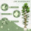 Homcom HOMCOM 180cm Artificial Fiddle Leaf Fig Tree with Solid Wood Trunks 5