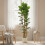 Homcom HOMCOM 180cm Artificial Fiddle Leaf Fig Tree with Solid Wood Trunks 8