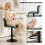 Homcom HOMCOM Barstools Set of 2, Dining Stools with Backrest and Footrest, Green 5