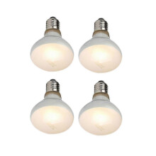 4 Pack 100W Reptile UVB UVA Heat Lamp Bulb for Lizards and Turtles