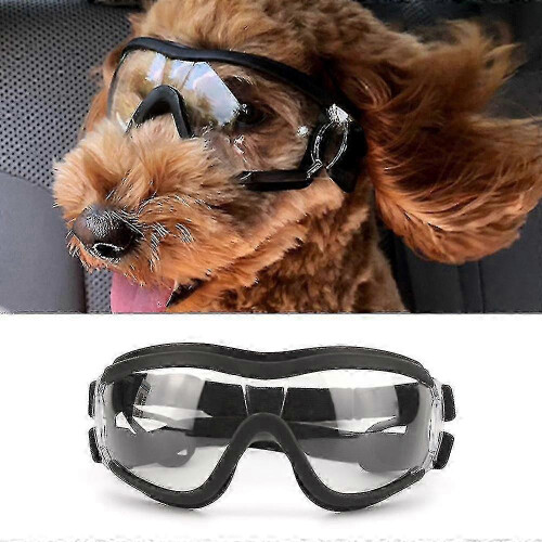 Durable eye protection for large dog waterproof 1