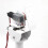 Solar Panel Tracking Motor - Dual Axis 340H/120V Rotation with High Load Capacity 1