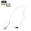 Thunderbolt 2 converter for USB-C laptops - high-speed -HK707 1
