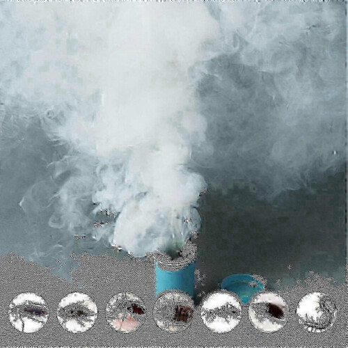 4 Piece Roach Killer Smoke Bombs Aromatherapy Scented Pest Control for Household Indoor Use