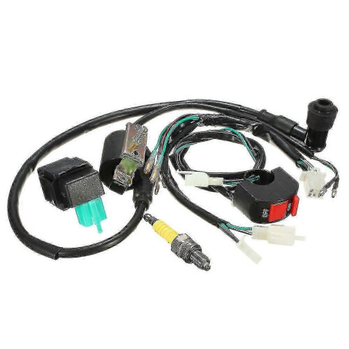 Kabelboomset voor pitbikes met kill-switch, bobine en CDI-stekker 110cc, 125cc, 140cc 2