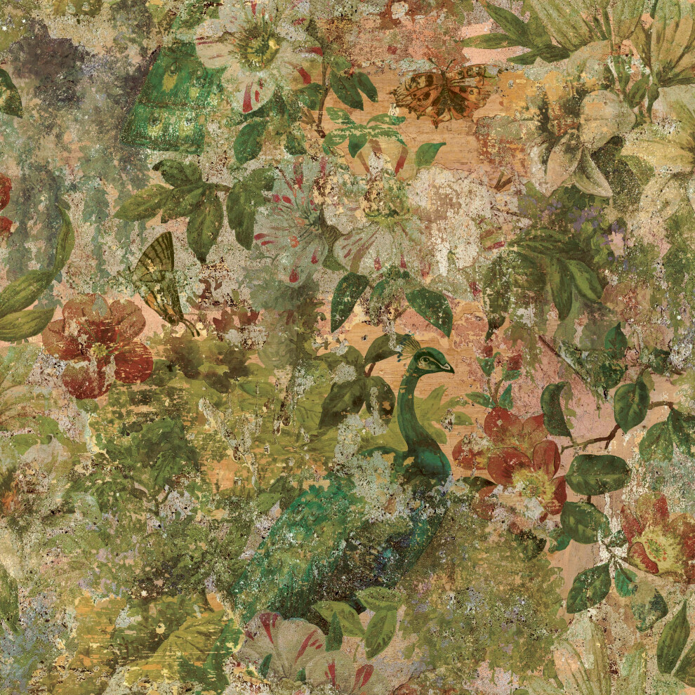 Multi Peacock Tropical Wallpaper Distressed Effect Feature 5061103677709
