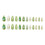24Pcs Cat-Eye Press On Nails Green Grape Design 1