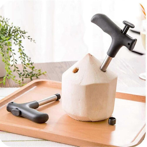 Stainless Steel Coconut Opener Hole Tools 2