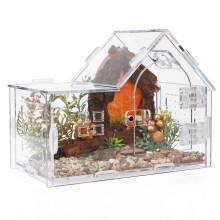 Terrarium acrylique pour araignes sauteuses, terrarium polyvalent pour reptiles (tarentule, gecko, camlon, etc.).