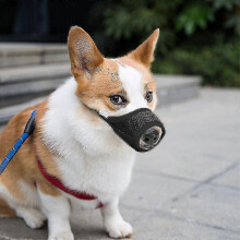 (l, Noir) Museli??re pour chien en nylon souple anti-morsure et anti-aboiement, en maille respirante et s??curis??e.