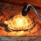 reptile basking light bulb 50W UVA UVB heating lamp 5PCS 5