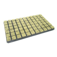 Grodan rock wool propagation mat 77-Piece Tray 3.6 x 3.6 cm