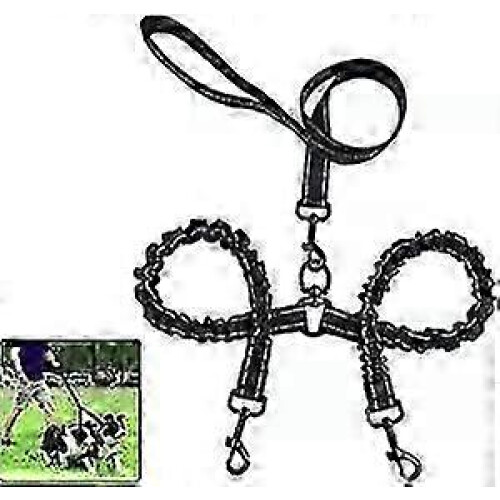 Laisse double anti-n?uds 360¡ã pour 2 chiens