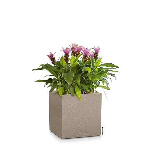 LECHUZA CANTO Stone 40 low sand beige 13721 1