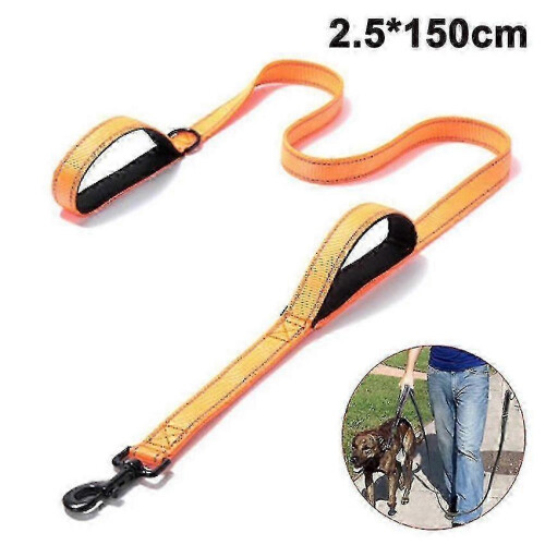 Laisse robuste pour chien de 1,5 m avec deux poignes. 2