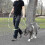 Laisse robuste pour chien de 1,5 m avec deux poignes. 4