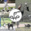 Laisse double anti-n?uds 360¡ã pour 2 chiens 4