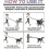 Laisse double anti-n?uds 360¡ã pour 2 chiens 5