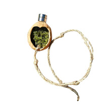 Ventilated Walnuts Jumping Spiders Shelter Lovely Natural Facilitates Cleaning Ensuring Comfortable