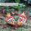 2Pcs Chicken Saddle Hen Apron Wing Feather Protector White+Red 2217cm 4
