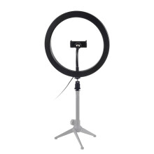 PULUZ 10-Zoll-LED-Ringlicht, dimmbar, 3 Beleuchtungsmodi, Helligkeit einstellbar, mit Handyhalterung für Live-Streaming, Selfie-Fotografie und Videos