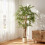 Homcom Ficus Artificial Verde 65 x 65 x 150 cm 5