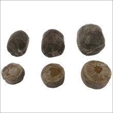 Elixir Gardens ? 200 x Jiffy 7C Peat Free Coir Plug Propagation Pellets | 30mm x 38mm
