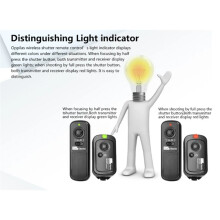 PIXEL RW-221E3 DSLR Camera Wireless Shutter Remote Control for R6,R7,R10, R, RPM5,M6,M6l,77D