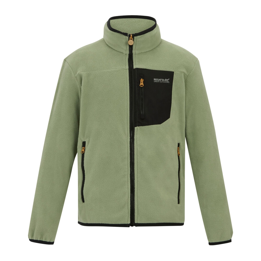 Regatta (15-16 Years, Sage Green) Childrens/Kids Frankie Full Zip Fleece Jacket