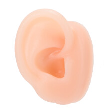 Silicone Right Ear Model for Hearing Aid Demo, Medical & Display