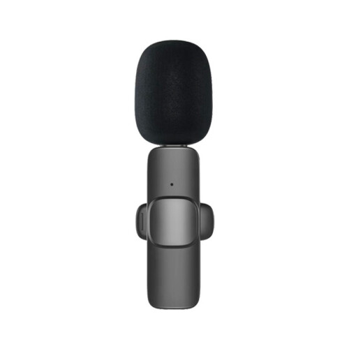 Wireless Lavalier Microphone Dual Type-C Interface - Clip-on Lapel Mic for Live Streaming & Recording 2