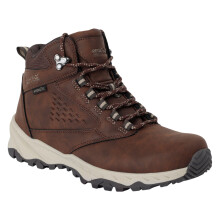 (3 UK, Chestnut/Taupe) Regatta Womens/Ladies Amble Waterproof Walking Boots