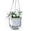 (Transparent Large) Self-Watering Hanging Planter for Hydroponic Plants 1