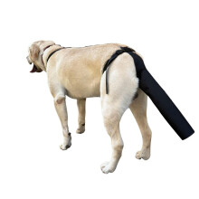 Adjustable Pet Dog Tail Protector Sleeve - Wound Care, Anti-Bite & Hair Loss Prevention  Large