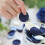 Petali di Rosa in Seta da 2000 Pezzi Dusty Blu Navy Flower Petals 1