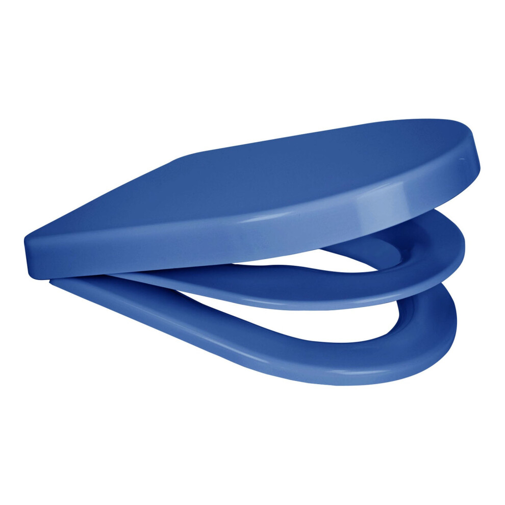 Euroshowers D Shape Potty Training Multi Toilet Seat (With Removable Child Seat) - Blue