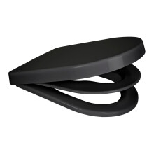 EuroShowers D Shape Potty Training Multi Toilet Seat (with Removable Child Seat) - Black