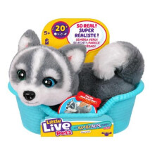 Little Live Pets My Really Real Mini Puppy Patches - Assorted (One Supplied) - Board Game