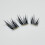 (02) Reusable False Eyelashes for Women, Lightweight 1