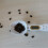 (White, Battery) Precision Coffee Spoon Scale - Grams & OZ 11
