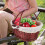 Worgeous  Wicker Garden Basket Hand Space-Saving Portable Fruit Child 6
