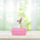 Cage Voyage ABS Rose Portable Pour Perroquets Petits Animaux 5