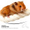 2Pièces Tunnel De Jeu Pour Cage Hamster Accessoires 11
