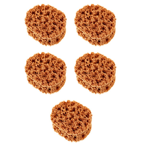 5Pcs Versatile Light Brown Sponges for Painting & Drywall Texture